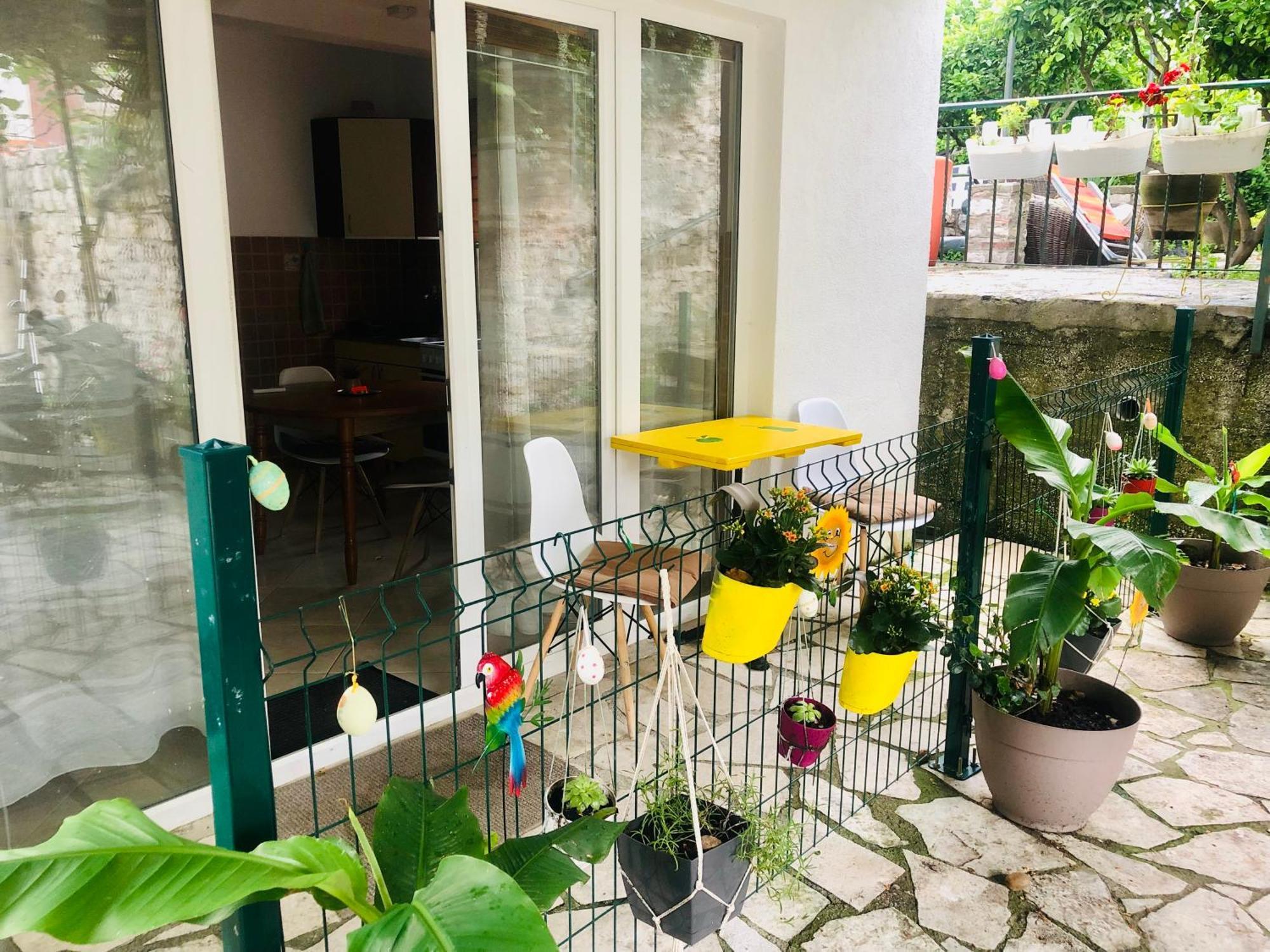 Apartments Djurovic Kotor Rum bild